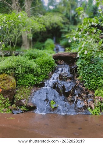 This image captures a small natural waterfall flowing gently over dark rocks, surrounded by dense green vegetation. The water trickles down several rocky tiers before collecting in a shallow pool at t