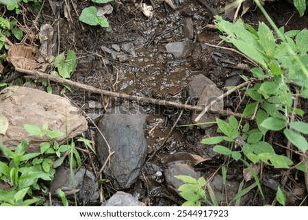 Similar – Image, Stock Photo Spring with water trickle on brown rock on the Nebelhorn in Oberstdorf, Bavaria (Oberallgäu district) in October 2023. Photo: Alexander Hauk