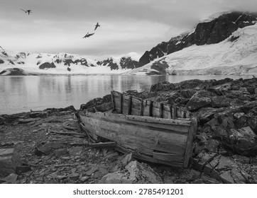 This image captures a stark scene from Antarctica, featuring a derelict wooden boat abandoned on a rocky shor