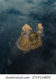 This image captures a tranquil scene of a small island surrounded by calm, reflective waters. The island is adorned with a few trees displaying vibrant autumn foliage, standing tall and proud. The water's surface is undisturbed, creating a mirror-like effect that enhances the peaceful atmosphere. The sky above is overcast, adding a soft, diffused light to the entire scene.