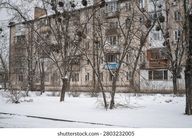 This image captures a typical residential apartment building in Kyiv, Ukraine, during a winter day. The multi-story structure with numerous windows and balconies is partially obscured by a grove of bare deciduous trees, many hosting visible clumps of mistletoe, all set against a snow-covered urban environment.