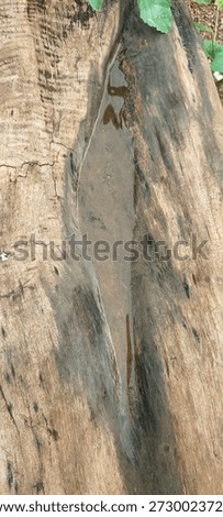 This image captures a water reflection featuring a heart the heart shape is actually formed by the shadow of a leaf hanging above the water