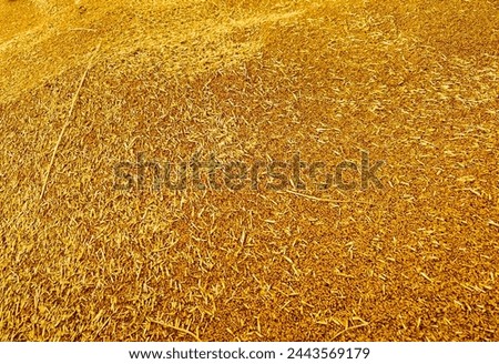 This image is a close-up of a pile of dry grass. Thegrass is a golden brown color and has a coarsetexture. The individual blades of grass are visible inthe image, and some of them are bent or broken.