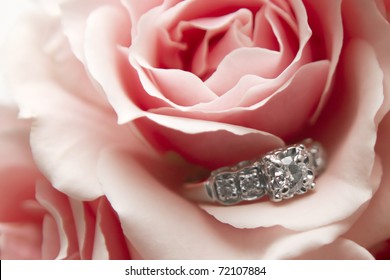 This image contains a diamond ring nestled within a pink / red flower. Great image promoting love, marriage, engagement, luxury, jewelry, etc.