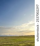 This image depicts a vast expanse of rice fields under a clear, bright sky. The scene is serene, with green fields stretching across the foreground and gradually meeting the distant horizon. The sky h