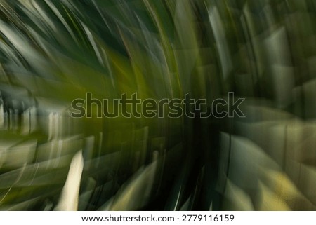 This image is a dynamic, abstract capture of botanical elements, likely long-bladed leaves or grasses, transformed through the Intentional Camera Movement (ICM) technique. The composition is defined by a rhythmic, circular motion blur that creates a sense of swirling energy. Deep forest greens and muted olives dominate the palette, punctuated by streaks of pale cream and soft yellow light that cut through the shadows. The interplay of organic textures and fluid motion gives the impression of a hidden, rushing world within a garden, blending the line between photography and impressionist painting.

Mood and Atmosphere

Energetic yet Serene: The swirling motion suggests high energy, while the natural green tones keep the overall feeling grounded and calming.

Dreamlike: The lack of sharp focal points creates a surreal, ethereal quality.

Mysterious: The deep shadows and obscured subjects invite the viewer to look closer and imagine the original scene.

Suggested Uses

Interior Design: Perfect as large-scale wall art for modern offices, spas, or wellness centers to promote a sense of 