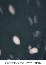 This image features abstract light spots on a dark, textured background, creating a serene and mysterious atmosphere. The soft, out-of-focus shapes suggest dappled sunlight filtering through leaves.