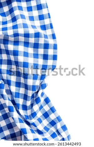This image features a blue and white checkered fabric, showcasing a soft drapery. The vibrant colors and pattern add a rustic charm, perfect for home decor or dining settings.
