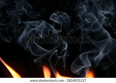 This image features captivating swirls of translucent smoke rising against a dark background, creating an ethereal and atmospheric effect. Perfect for artistic projects.
