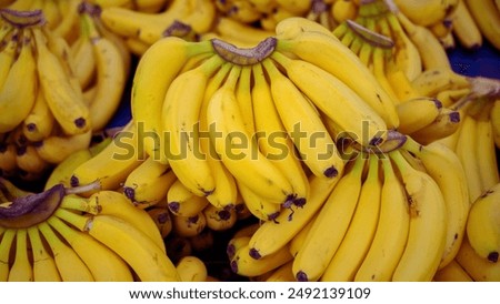 This image features a cluster of bananas in various stages of ripeness.  Yellow Cavendish bananas dominate, with some green Lady Fingers and brown plantains visible. 