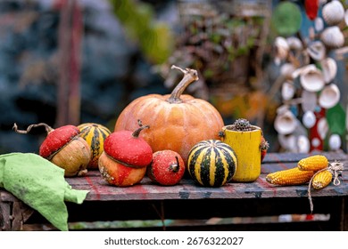 This image features a collection of pumpkins and gourds arranged on a table