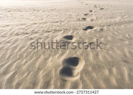 This image features footprints on rippled sand, symbolizing adventure and personal journeys. Perfect for travel blogs or motivational content about the path to success.
