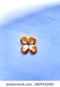 This image features four freshly halved citrus fruits arranged in a symmetrical pattern on a smooth, light blue textured surface, illuminated by soft natural lighting that enhances their vibrant orange hue and juicy interior texture, evoking freshness and vitality. Featuring juice, bright, organic, healthy, vitamin, nutritious, food, edible, peel, juiciness, segmented, background, minimalist, clean, simple
