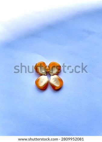 This image features four freshly halved citrus fruits arranged in a symmetrical pattern on a smooth, light blue textured surface, illuminated by soft natural lighting that enhances their vibrant orange hue and juicy interior texture, evoking freshness and vitality. Featuring juice, bright, organic, healthy, vitamin, nutritious, food, edible, peel, juiciness, segmented, background, minimalist, clean, simple