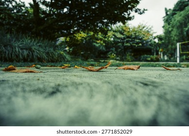 This image features a low-angle, cinematic perspective taken from the surface of a textured concrete path or stone floor. The focus is sharp on a few withered, orange-brown autumn leaves scattered across the middle ground, while the extreme foreground is heavily blurred, creating a sense of depth. In the background, a lush garden with dense green trees and ornamental grasses provides a vibrant contrast to the cold, grey tones of the pavement. The overall mood is quiet and reflective, capturing a fleeting moment of seasonal transition within a peaceful park or resort setting.