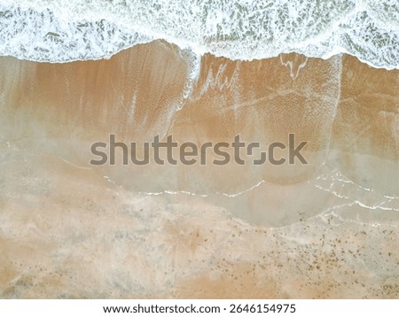 This image features a peaceful sandy beach with light brown sand. Gentle waves lap at the shore, and the clear blue water sparkles under the sun, creating a serene and inviting atmosphere.