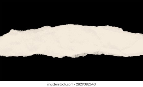 This image features a torn paper edge with a visible texture set against a dark background. The paper appears fragmented and uneven creating a distressed visual element.
