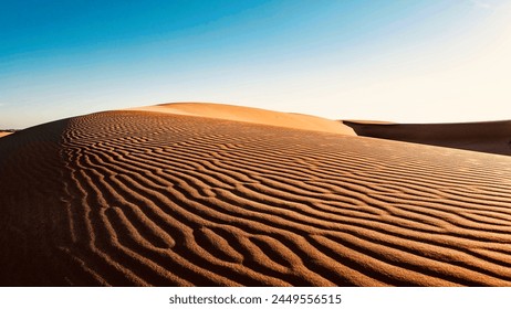 This image features a vast expanse of sand dunes in a desert setting. The dunes are likely to have soft, rippled textures and might vary in size and shape. The landscape is devoid of vegetation and tr