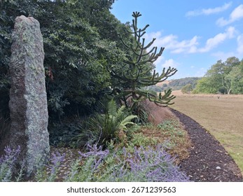 This Image Is Filled Two Thirds On The Left By A Standing Stone Column, Low Purple Flowers, A Fern, A Monkey Tree, And Other Shrubs, An Edged Lawn Breaks Scene Leading To A Distant Hillside, Blue Sky