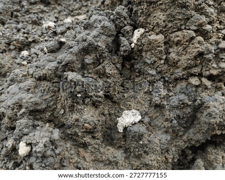 This image highlights the microscopic details of the interaction between soil elements and low-lying vegetation (moss), providing a visual rich in natural texture and depth.