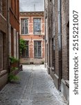 This image invites us into the calm solitude of the Mechelen Beguinage, with its historic cobbled streets and traditional brick houses. The beguinage, a quiet corner of Mechelen, Belgium, is a relic