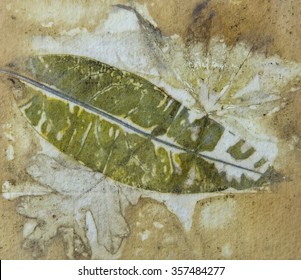 This is an image of a naturally printed leaf transfer which are done by using Eco-Printing.  The process uses the actual leaf, dipped with iron water and boiled in various types of natural dye water.