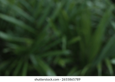 This image offers a blurred perspective of vibrant green foliage, evoking a sense of natural texture, depth, and organic forms, perfect for backgrounds and natural designs.