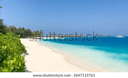This image offers a pristine view of a sandy beach with clear waters