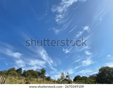 This Image Is Of An Open Mainly Deep Blue Hued Sky, With Tropospheric, Cirrus Clouds Stretching Outwardly From The Centre. The Bottom Of The Image Holds Tree Tops, Hedge's And Meadow Like Foreground 