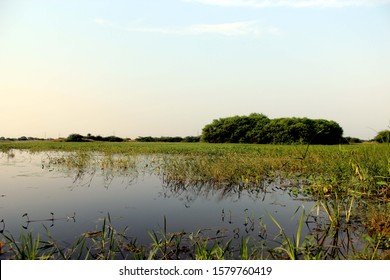 This Image Is Patna Bird Sanctuary Is A Protected Area In Uttar Pradesh's Etah District Encompassing A Lentic Lake That Is An Important Wintering Ground For Migrating Birds