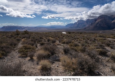 This image portrays the desert vegetation prominent in the Red Rock Canyon National Conservation Area, as well as the steep rock formations. - Shutterstock ID 2237978715