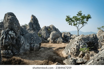 This image presents a close-up view of the rocky terrain at the Stone Garden in Bandung. A solitary tree stands in the background, its wide green canopy contrasting with the gray, jagged rocks.
