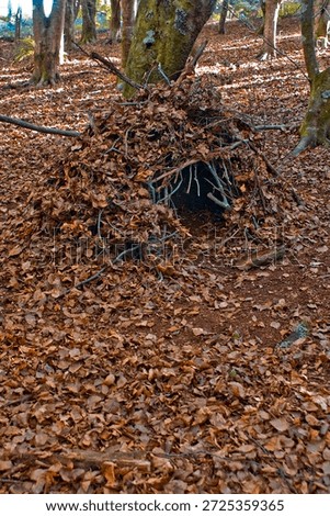 This image is probably a human-made debris hut or leaf hut that can provide shelter for small mamals or amphibians or birds.