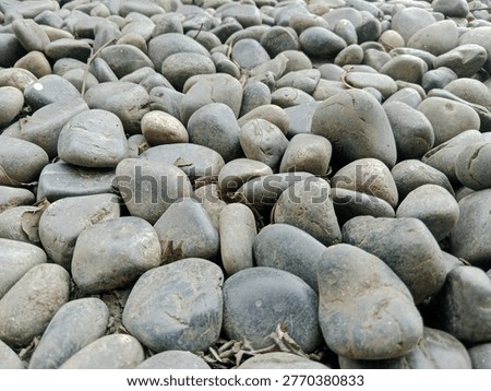 This image provides a low-angle, perspective view of the same smooth river stones seen previously