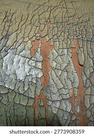 This image provides a macro view of a severely weathered surface, likely an oil painting on canvas. The primary focus is the advanced stage of deterioration, showcasing several interesting physical phenomena