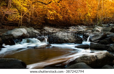 This image is of Rock Creek in Rock Creek Park in Washington DC.