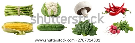 This image showcases an assortment of fresh vegetables, including asparagus, cauliflower, mushrooms, chili peppers, corn, cucumber, spinach, and radishes, against a white background.