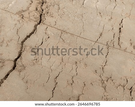 This image showcases a close up view of dry soil with visible cracks and intricate patterns on its surface.