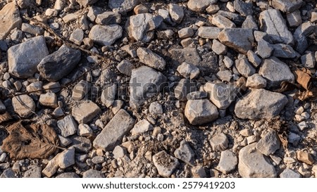 This image showcases a close-up view of a natural rocky path covered with dried leaves and small stones, illuminated by soft sunlight. Perfect for depicting rugged outdoor trails 