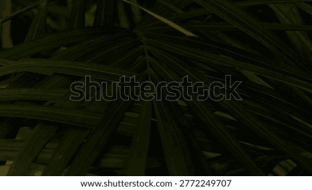 This image showcases dramatic low-light composition of dark green palm leaves crisscrossing in an intricate natural weave. The deep shadows and subtle highlights accentuate the linear texture