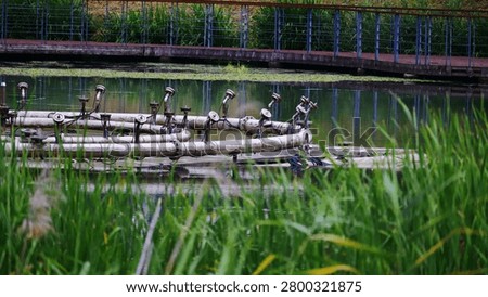This image showcases a functional aeration and fountain system, an essential component of urban water management, submerged within a public park pond. The intricate network of textured pipes and nozzles, reflecting industrial design, creates a geometric composition amidst the aquatic scenery