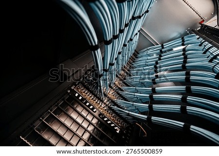 This image showcases an organized display of blue ethernet cables within a modern data center, highlighting the essential infrastructure for speedy digital communication and connectivity.