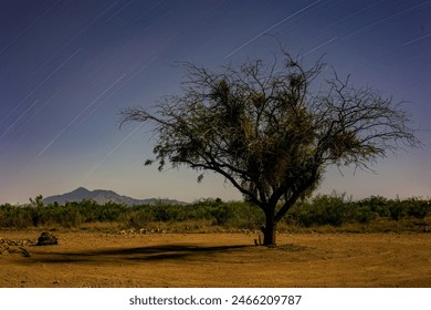 This image showcases a serene desert night scene, featuring a solitary tree in the foreground with a backdrop of mountains and a clear, starry sky. The photograph captures the motion of the stars. - Powered by Shutterstock