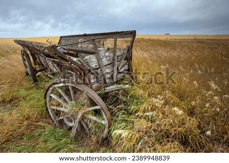 This image shows an antique hay wagon, left to rot away at the edge of a farm field.  The wagon is made of wood and iron.  The wooden wheels have an iron rim so the wheel would last longer.