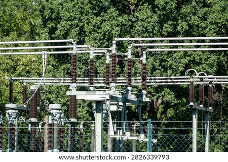 This image shows a complex substation with high voltage power lines and heavy equipment. The installation is set against a dense background of lush green trees on a sunny day. Bright natural daylight highlights the metallic structures and dark brown insulators. The scene represents modern power transmission and electrical infrastructure engineering. Editorial buyers can use this visual for articles about energy distribution and grid stability.
