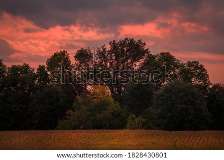 This image shows a glowing pink sky as the sun sets over secluded, tree lined fields.