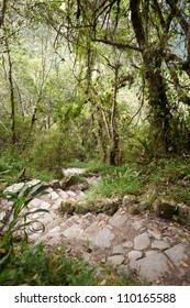 This Image Shows The Pathway Up To Manchu Picchu, Peru.