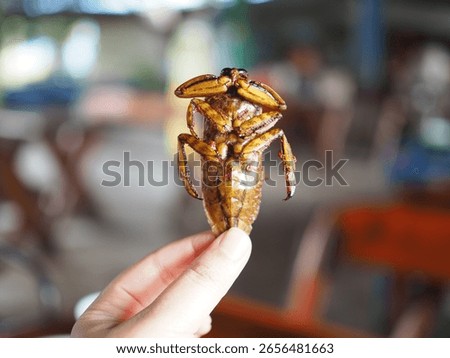 
This image shows a person holding a large, golden-brown fried giant water bug (maeng da), a local delicacy. The insect's underside is visible, showcasing its segmented body and legs, against a blurre