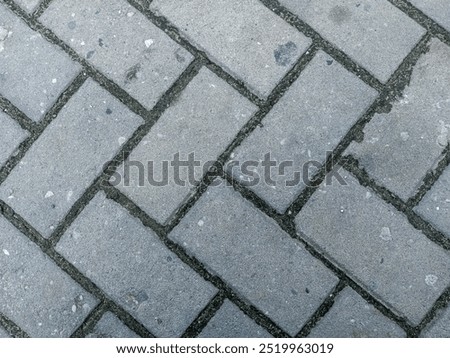 This image shows a rectangular paving block pattern floor with a diagonal arrangement, there are small gaps filled with soil or moss between the blocks.