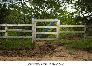 This image shows a rustic white wooden fence with a small central gate that has blue painted details.
The structure is situated in a rural or farm setting, with lush green trees in the background.
Enviar comentarios